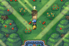 Pokémon Darkfire gameplay preview 1